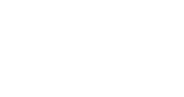 BSI
